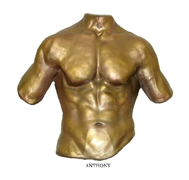 Example 5 using the Front Torso Casting Kit
