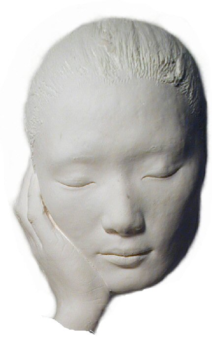 Face casting kit example