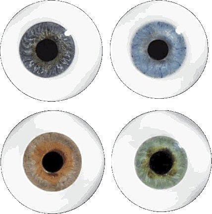 Blown Glass Eyes without Veining (pair)