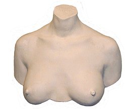 My Breast Friends Example