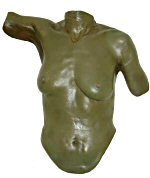Example 4 using the Front Torso Casting Kit