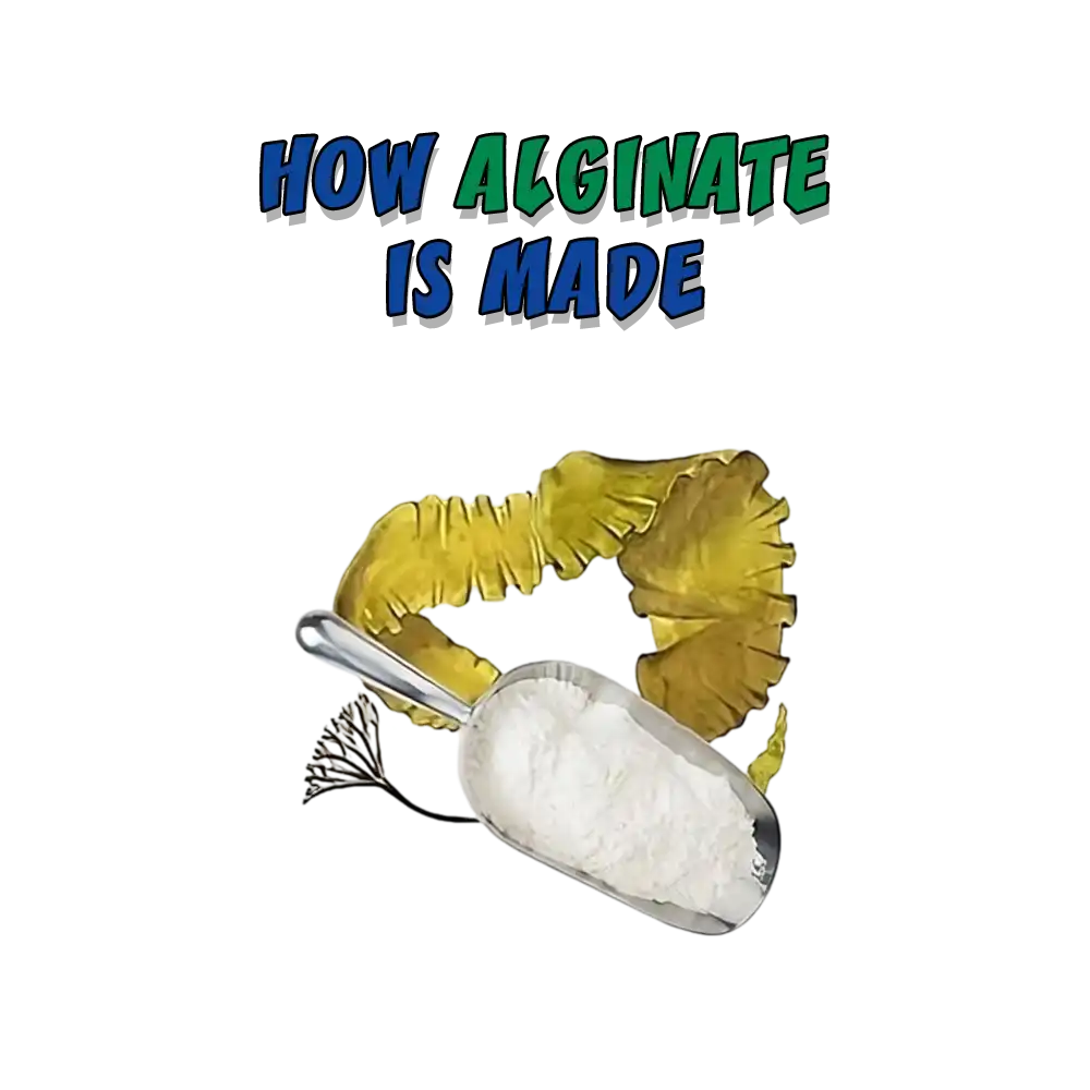 FiberGel E F/X Grade Alginate Hi Strength EnvironMolds
