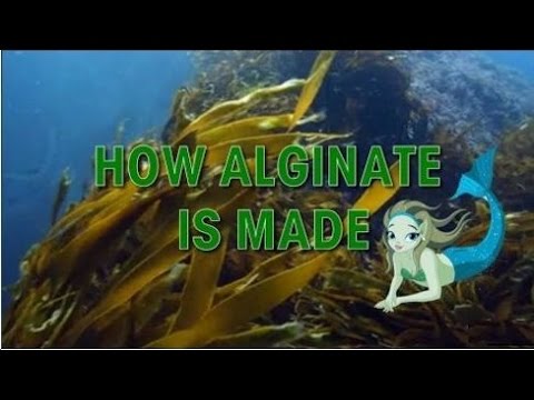 MoldGel Alginate SILFREE - Regular Set 4-5 Min Set
