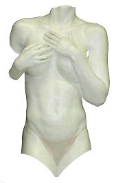 Example 1 using the Front Torso Casting Kit