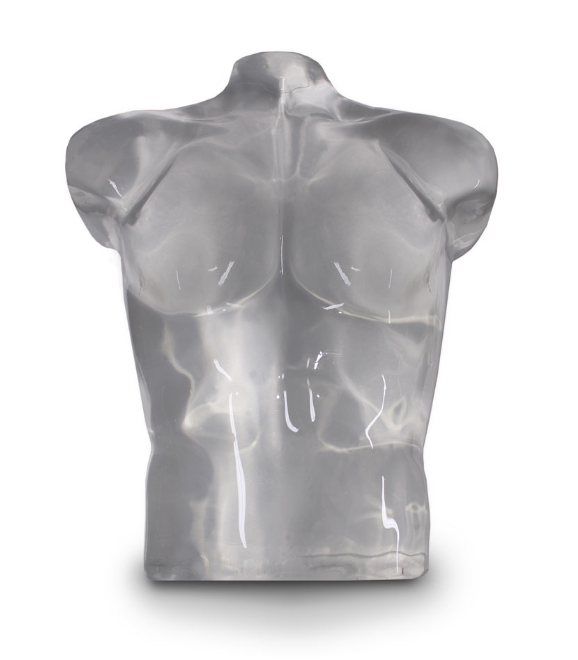 Clear ballistic gel torso
